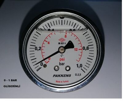 Çap 100 Arka Çıkış Pano Tipi Gliserinli Manometre - 1
