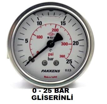 Çap 100 Arka Çıkış Pano Tipi Gliserinli Manometre - 15