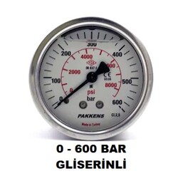 Çap 100 Arka Çıkış Pano Tipi Gliserinli Manometre - 31