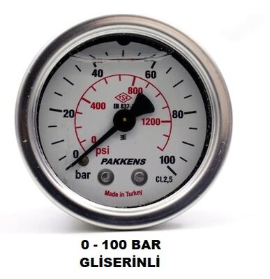 Çap 100 Arka Çıkış Gliserinli Manometre - 11