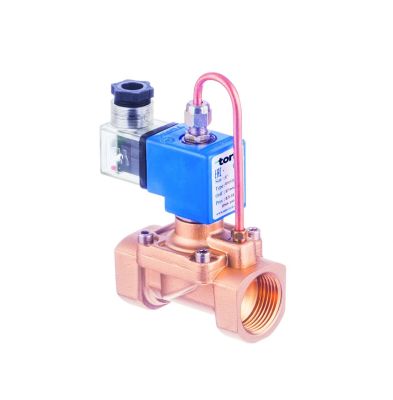 S1014 Serisi (Yüksek Basınç-Su için) Pilot Kumandalı Solenoid Valf NA - 1