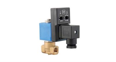 S8110 Serisi Drain (Otomatik Boşaltma) Direkt Çekmeli/Pilot Kumandalı Genel Maksat NK - 1